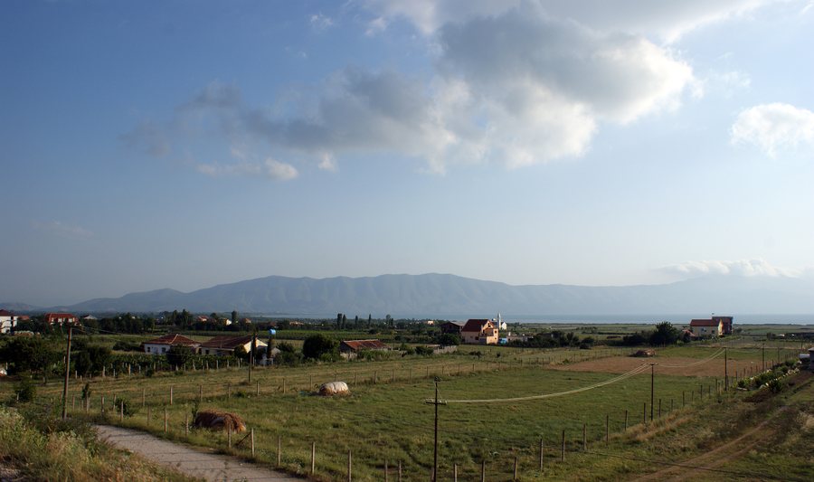 File:Grilë.jpg