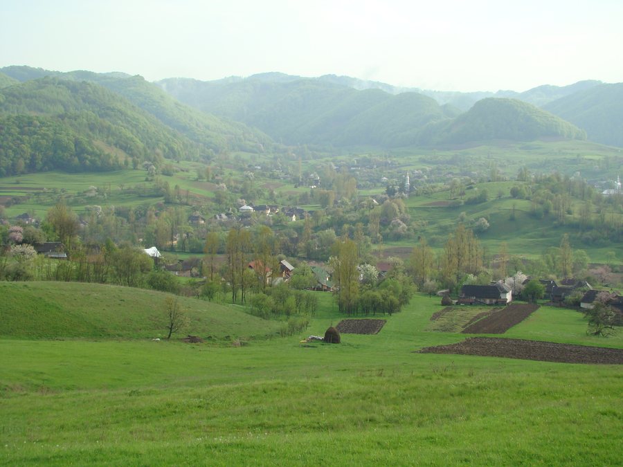 File:RO MM Rohia.jpg