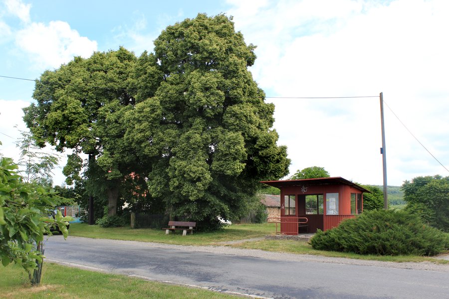 File:Rabakov, bus stop.jpg