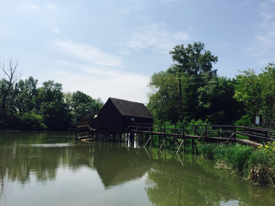 File:925 04 Tomášikovo, Slovakia - panoramio.jpg