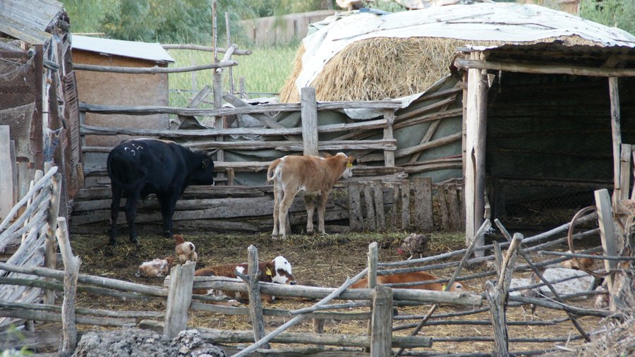 File:Maliuc - panoramio (1).jpg