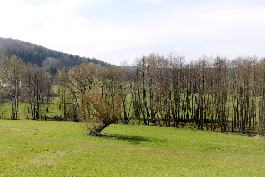 File:Pasečnice, Nová Pasečnice, Zubřina river.jpg