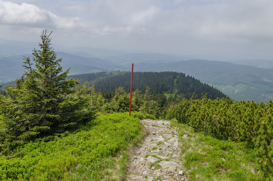 File:029 47 Oravská Polhora, Slovakia - panoramio (13).jpg