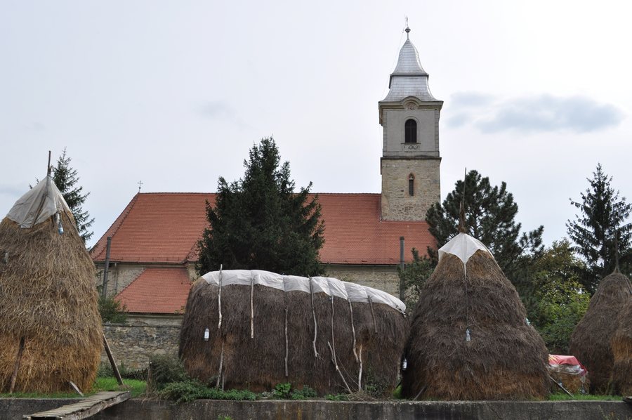 File:Biserica romano-catolica din Floresti (11).JPG
