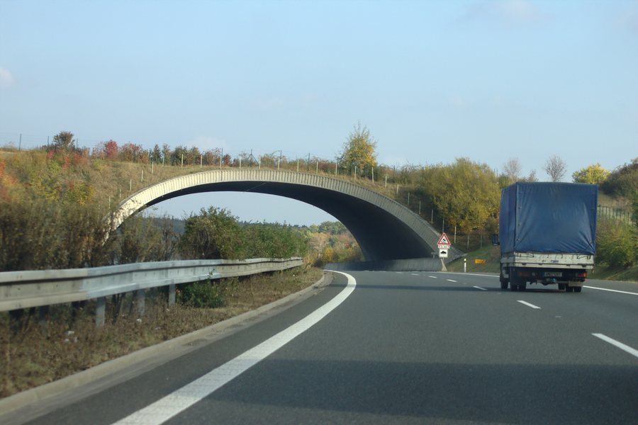 File:Žehuň, ekodukt.jpg