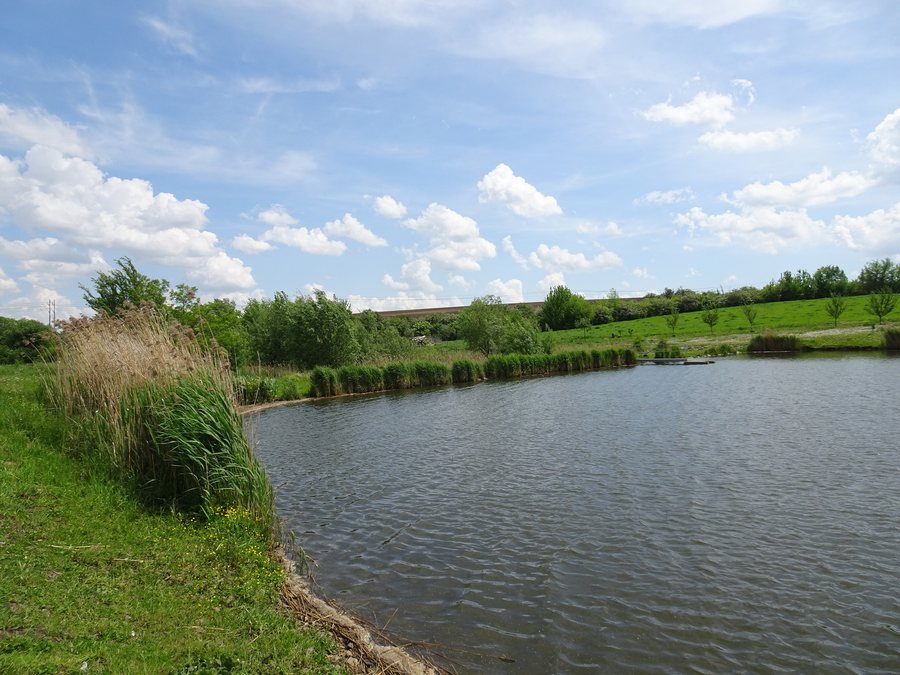 File:Čelčice, vodní nádrž (2).jpg