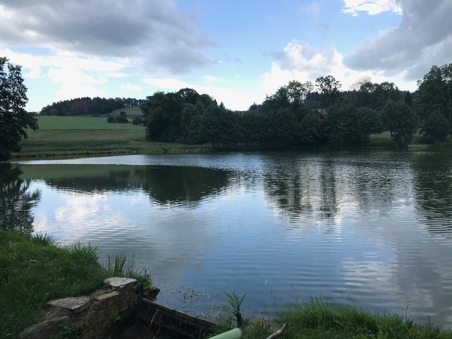 File:Overview 2 of pond Hostišov in Kouty, Smilkov, Benešov District.jpg