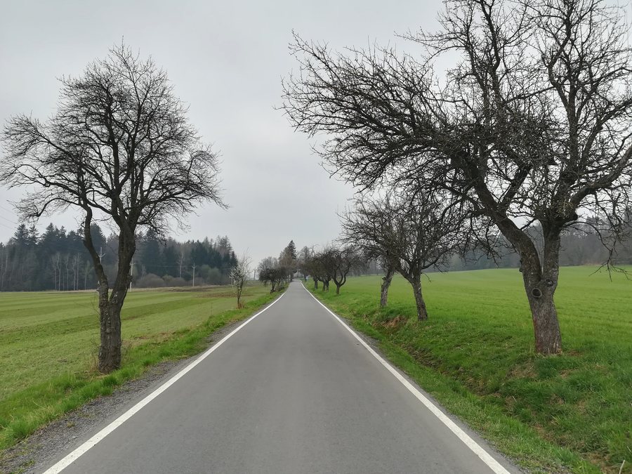 File:Zbilidy - silnice do Ústí obr01.jpg