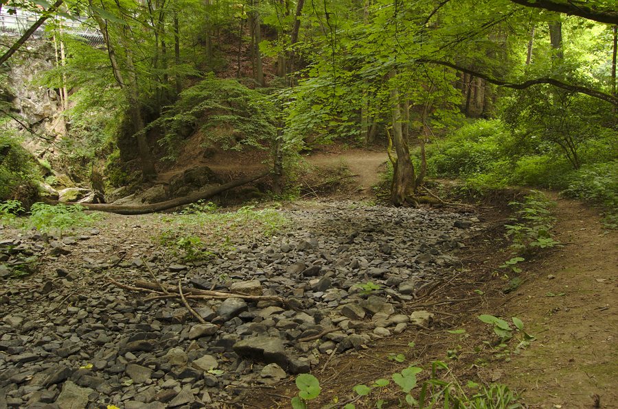 File:Nová rasovna - vyschlé koryto potoka, Holštejn, okres Blansko.jpg