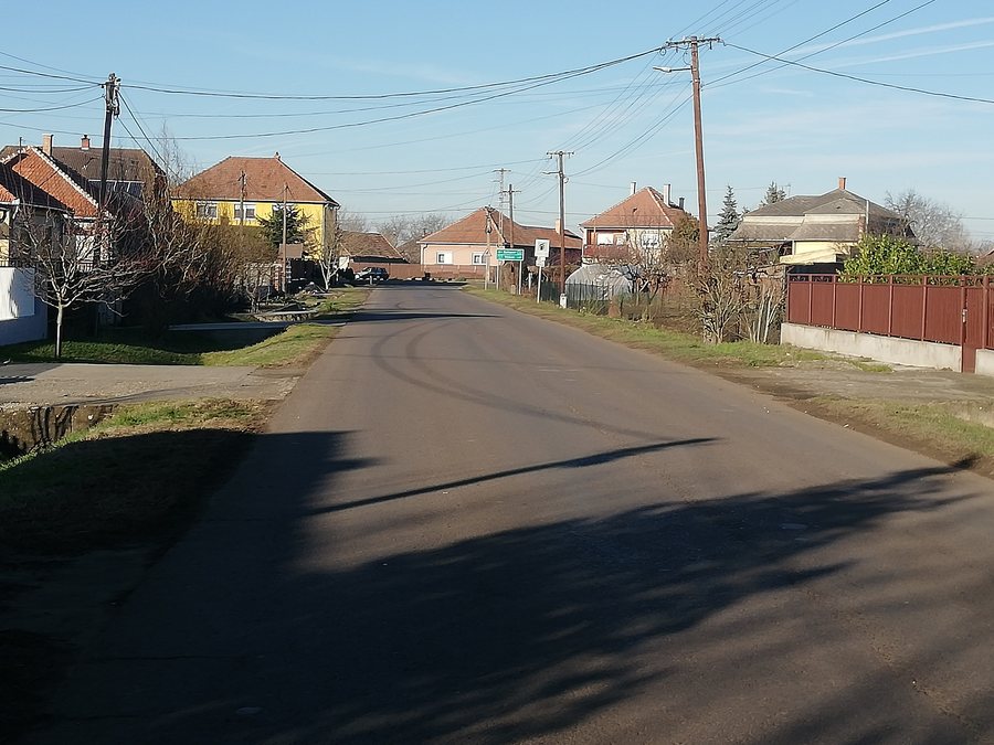 File:20251226 105218 3202 Hort.jpg