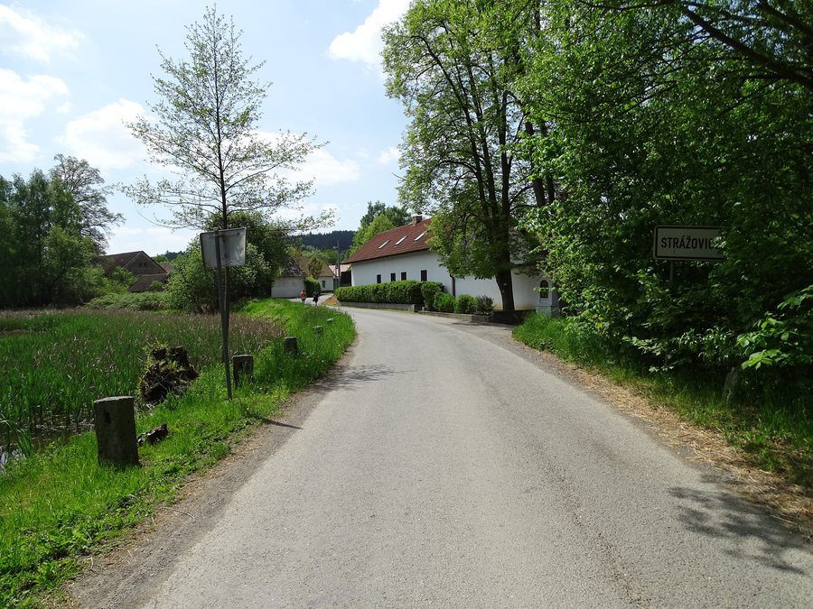 File:Strážovice (Křečovice), silnice u rybníka, vjezd do vsi.jpg