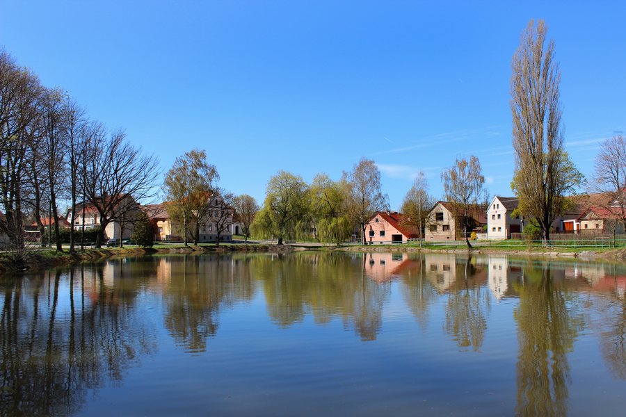 File:Únehle, common pond 2.jpg