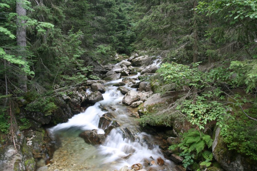 Demyanitsa River