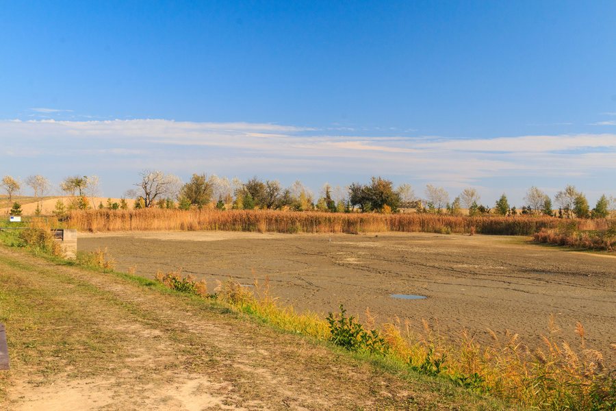 File:Rybník Eliška (Zaječice) 01.jpg