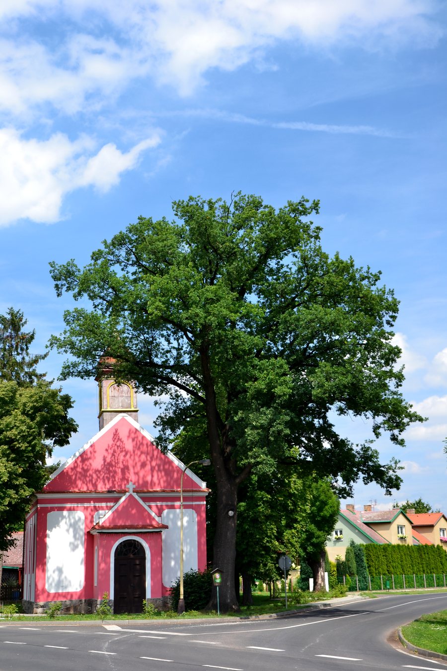 File:Račetice - dub.jpg