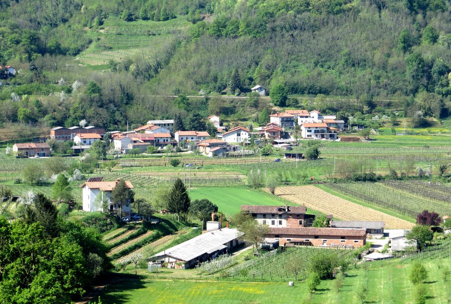 File:Branik Slovenia - Birsi Cvetrovz.jpg