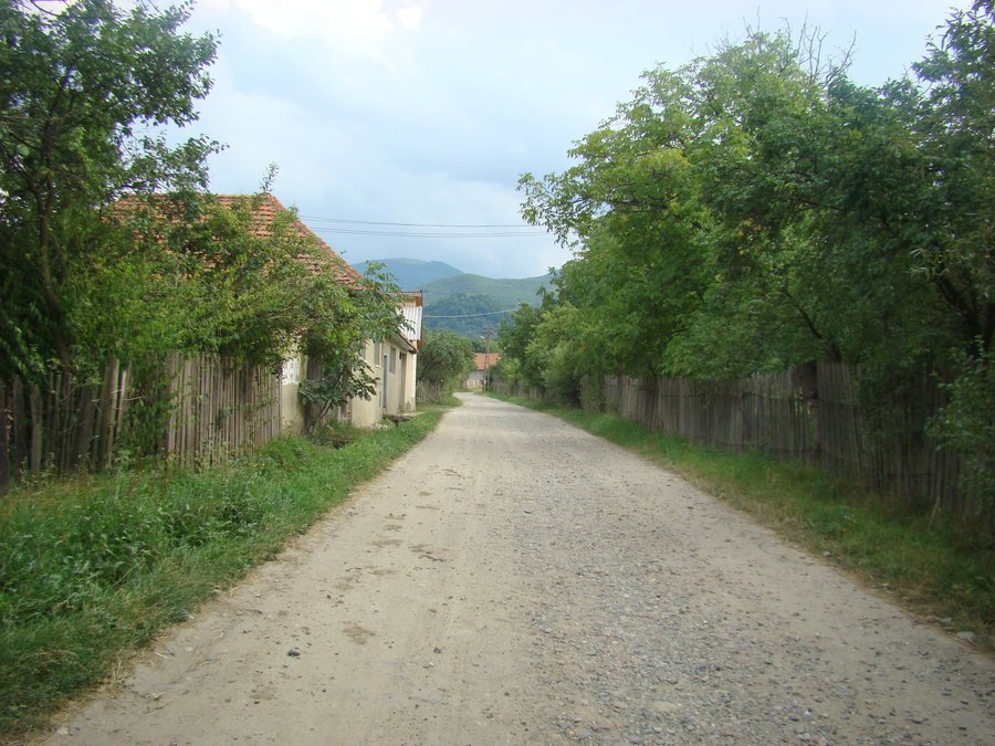 File:RO HD Valea Lupului (1).JPG