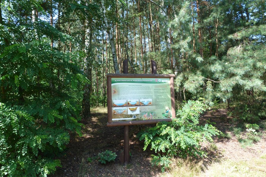 File:Torfowisko Rąbień - Ścieżka edukacyjna.jpg