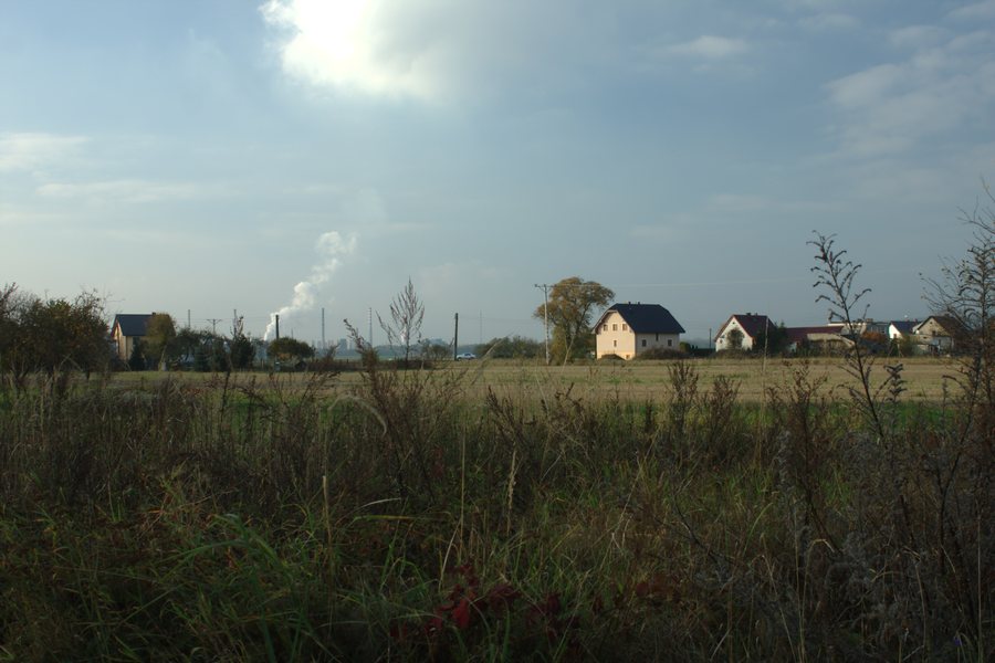 File:Raszowa, Lipowa, domy.jpg