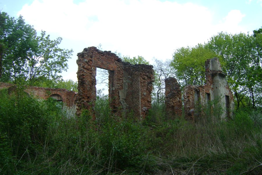 Góra palace complex ruins