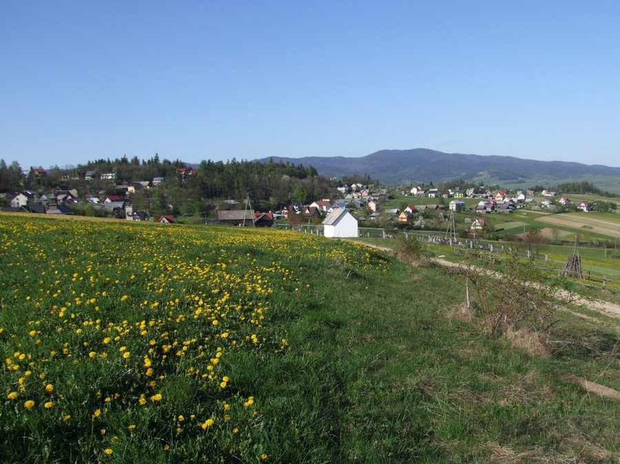 File:Falsztyn a1.jpg