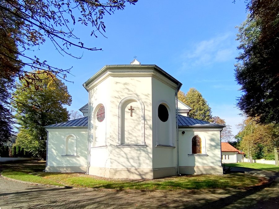 Czarnocin. Kościół Wniebowzięcia NMP 1