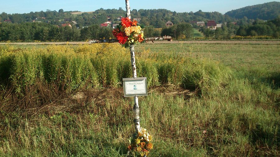 File:Mieczyslaw Medwecki - krzyz.JPG