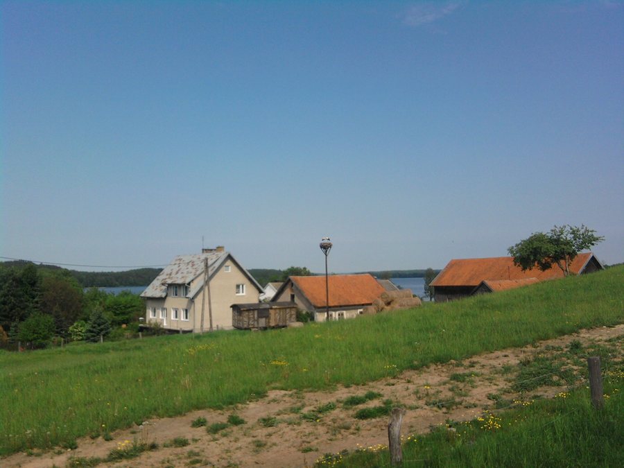 File:Wilnowo, bocinie gniazdo - panoramio.jpg