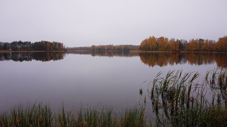 File:Jezioro Karlikowskie, okolice wsi Borowo - panoramio.jpg
