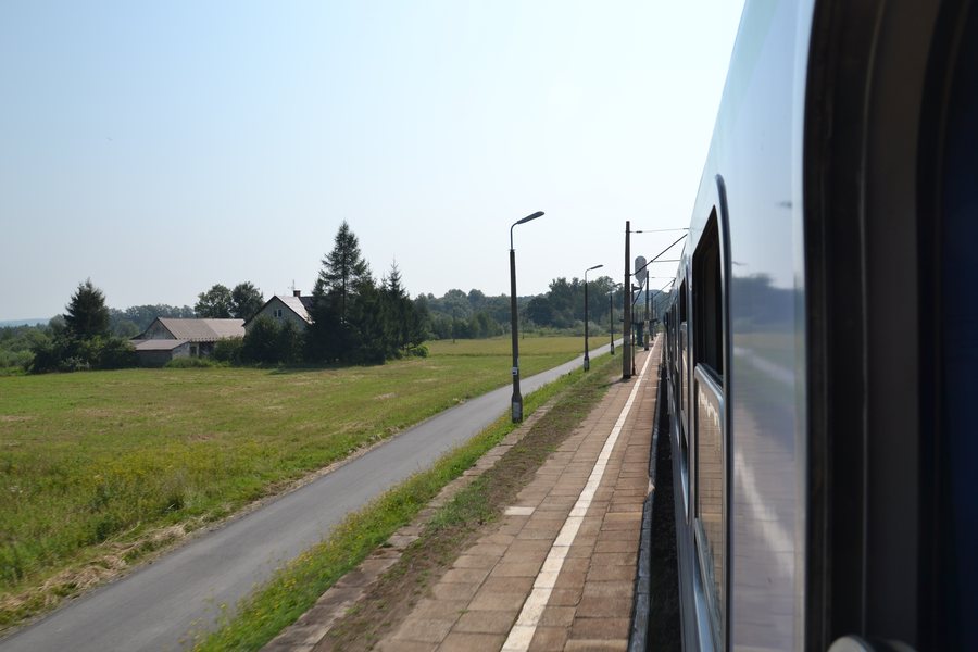 File:WK15 Łowczówek Pleśna (1) (1) Lichen99.jpg