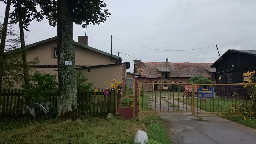 White stork nest in Wierzbowo, Nidzica County
