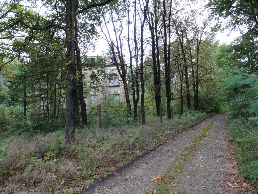File:Dwór w Lipinkach Łużyckich, w parku.JPG