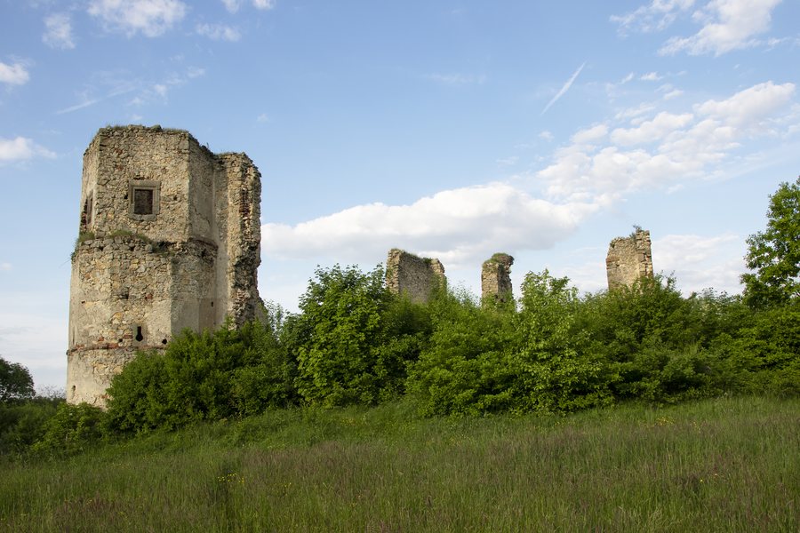 Ruins of Majkowice Castle
