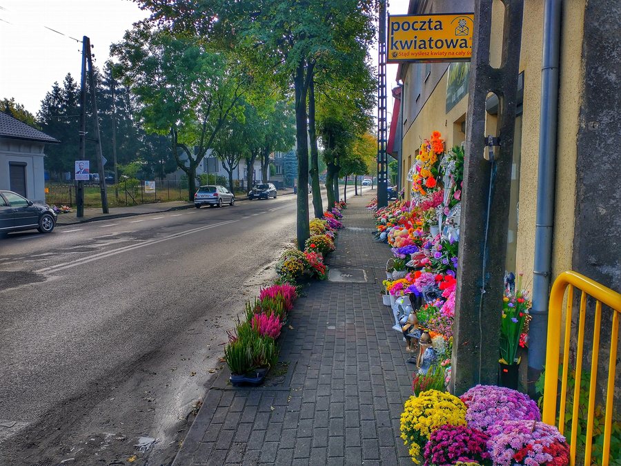 File:MOs810 WG 23 2023 Prusy Dolne (center of Kikół) (0).jpg