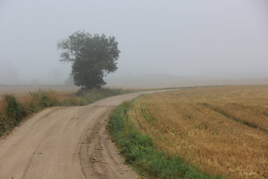 File:Okolice Przerośli.jpg