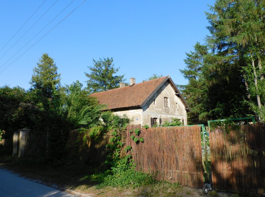 File:Jeziorna 91 pluski.jpg