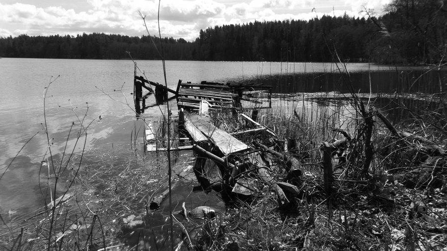 File:Jezioro Dłużek k. wsi Purda, brzeg północno-zachodni - panoramio.jpg