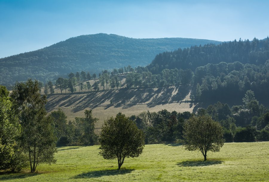 File:2016 Łysiec, Góry Bialskie, Sudety.jpg