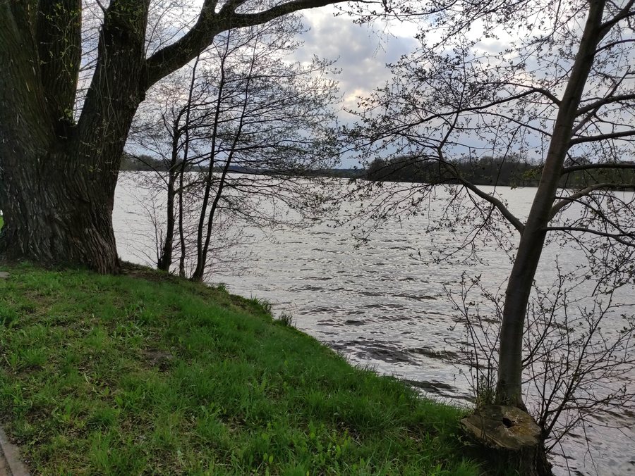 Jezioro Cekcyńskie