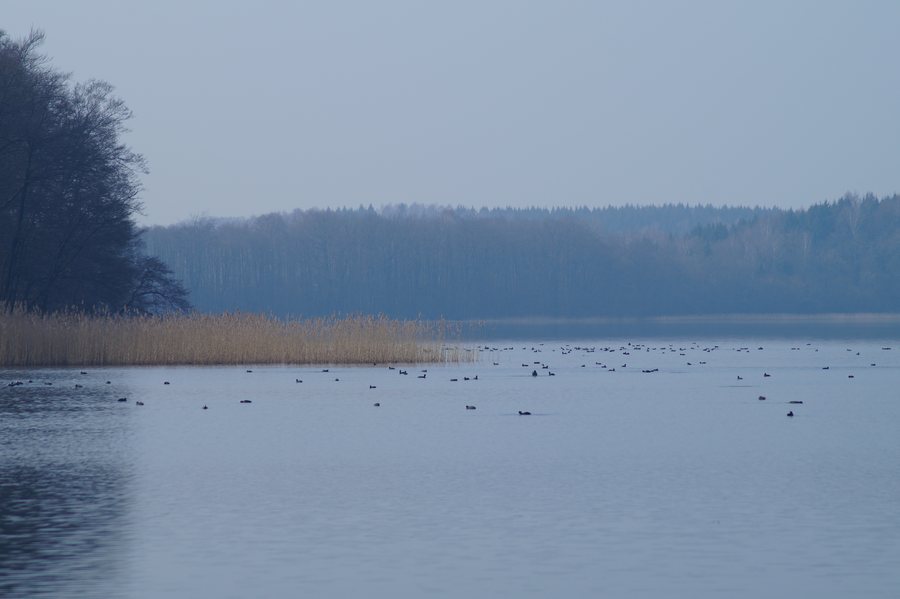 File:Jezioro Ińsko.JPG