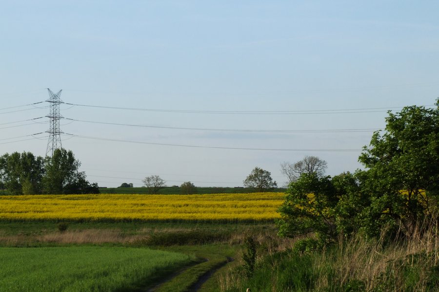 Fields near Comprachtschütz