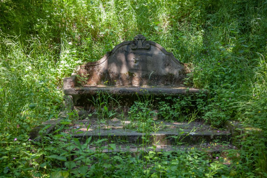 File:Przysiek park dworski 2013 06 12 9999 47.jpg