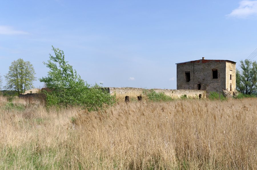 File:20180429 Zamek w Ćmielowie 2356 DxO.jpg