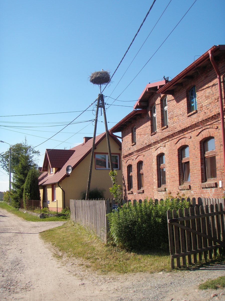 File:Ząbrsko Górne, bocianie gniazdo - panoramio.jpg