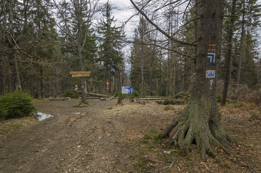 File:Gmina Łabowa, Poland - panoramio (1).jpg