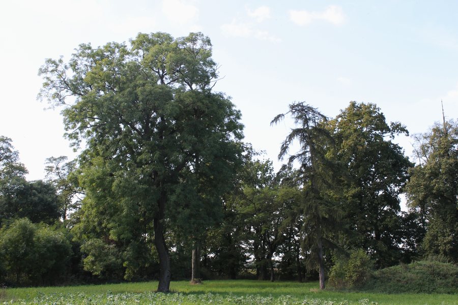 File:Tupadły-park.JPG