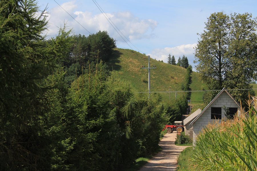 Gulbieniszki, powiat suwalski – Góra Cisowa