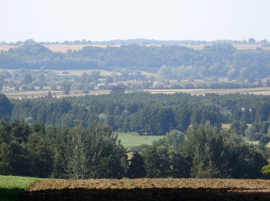 File:Gzin DDWview 4 8-2015.jpg