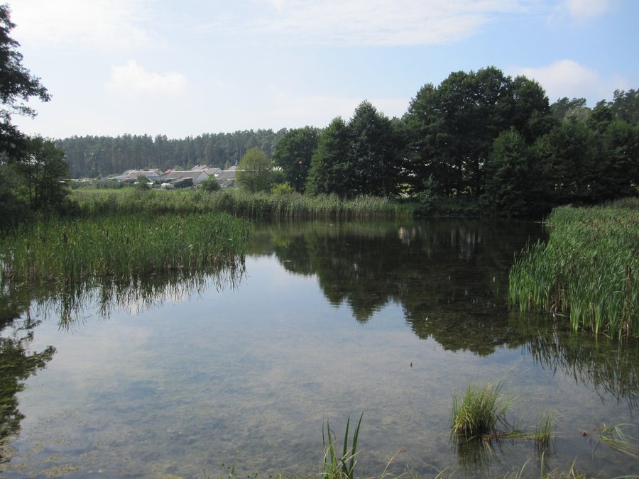 File:Wiartel - widok na jezioro.jpg