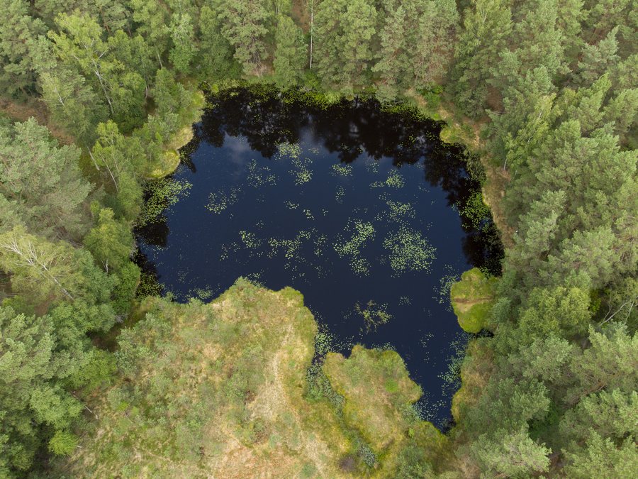 Geste Bagno Krzywonoga 2023 aerial